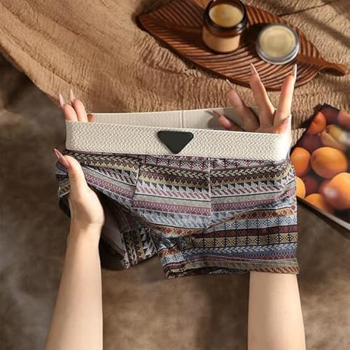 Men's Premium Cotton Boxer Briefs 3Pcs Men Retro Pattern Breathable Mesh Briefs Comfort Patchwork Seamless Underwear4