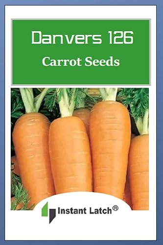 Miniatura 2 de 750 Danvers 126 Semillas de zanahoria  Sin OMG  Semillas frescas de jardín