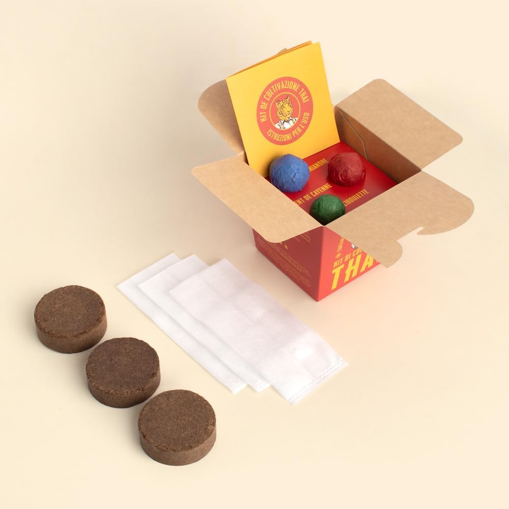 Irst494 Thai Kit, Multi-Colour