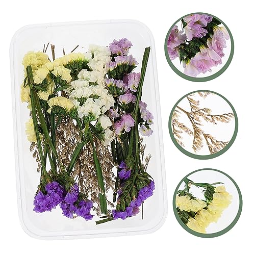 Relleno de flores secas para velas flotantes LIFKOME miniatura 3