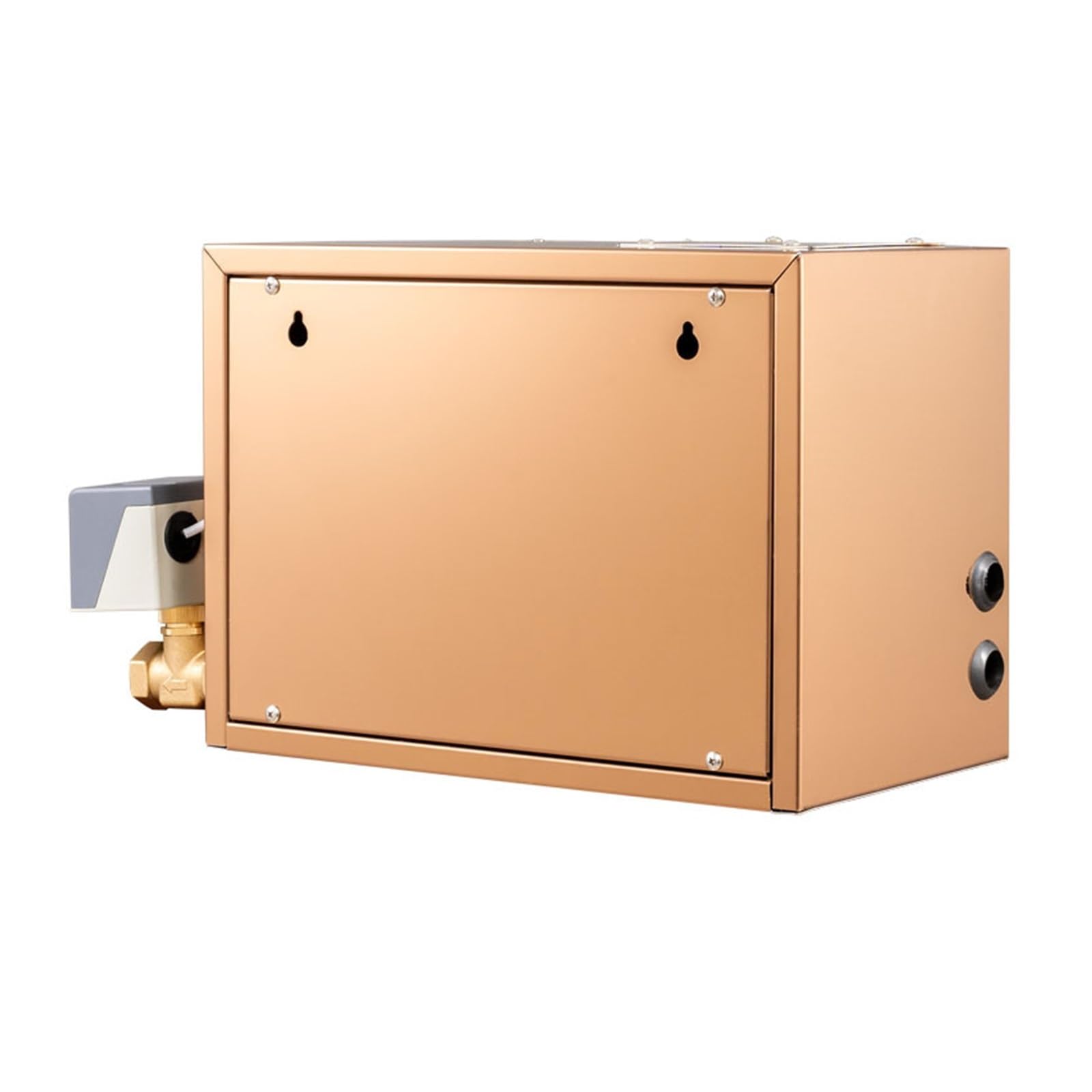 Generatore di Vapore per Sauna, 4,5 kW, Doccia a Vapore elettrica, per Sauna, Bagno Turco, Attrezzatura in Acciaio Inox, decalcificazione Automatica per Doccia in casa