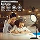 Trayvespace SAD Lampe, SAD Lichttherapie-Lampe, UV-freie 10000 Lux Sonnenlampe, Therapie mit 3 Lichtfarben und 9 einstellbaren Helligkeiten und 3 Timer (Schwarz)