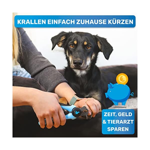 BluePet KrallenSchön Krallenschere mit Schutz als Nagelschere für Hunde, Katzen & Kleintiere - Inkl. Nagelfeile im Griff zur optimalen Krallenpflege – Bild 3