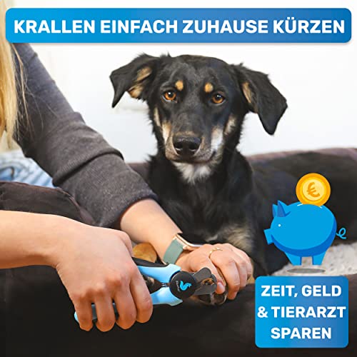 BluePet Krallenschere mit Schutz für Hunde & Katzen I Einsteigerfreundlich I Krallenzange für kleine & große Krallen + Krallenfeile im Griff - Alternative zu Nagelschere & Krallenschleifer
