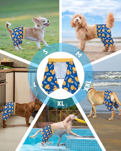 Image of CuteBone Dog Swim Trunks Swimsuit Durable & Comfortable - Quick-Dry, Adjustable Waistband Shorts, UV Protection Bikini- Perfect for Beach, Pool & Outdoor Fun, Duck DST01M