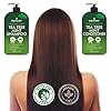 Tea-Tree-Mint-Shampoo-and-Conditioner-contains-Pure-Tea-Tree-Oil-Peppermint-Oil-Fights-Hair-Loss-Promotes-Hair-Growth-Fights-Dandruff-Lice-Itchy-Scalp-Men-Women-Sulfate-Free-16-oz-x-2 Tea Tree Mint Shampoo and Conditioner - contains Pure Tea Tree & Peppermint Oil - Promotes Hair Growth, Fights Hair Loss & Dandruff, Lice & Itchy Scalp - Men & Women Sulfate Free -16 oz x 2