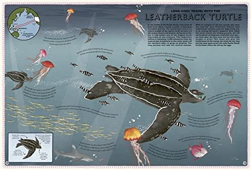 Atlas of Ocean Adventures: A Collection of Natural Wonders, Marine Marvels and Undersea Antics from Across the Globe