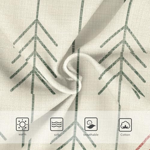 Cotton Panties Underwear for Daily Wear Organic Underwear for Kids in Sizes 2T,3T, 4T, 5T, 6Y and 8Y3