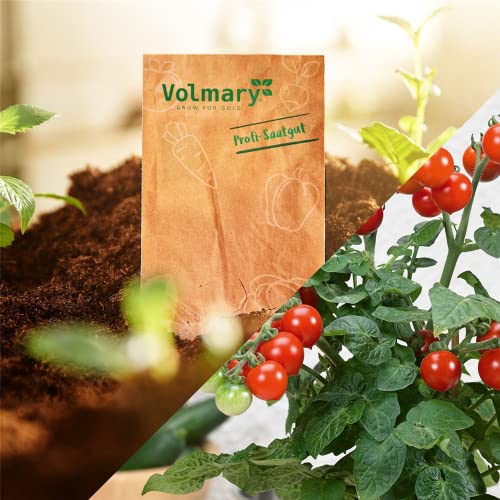 Perlen-Tomate 'Summerpearls' - Portion Samen (1 Korn) - Image 3