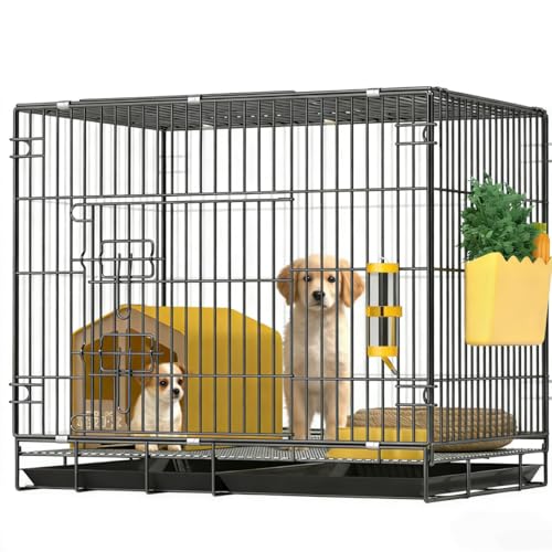 Hundebox mit herausnehmbarem Tablett-6