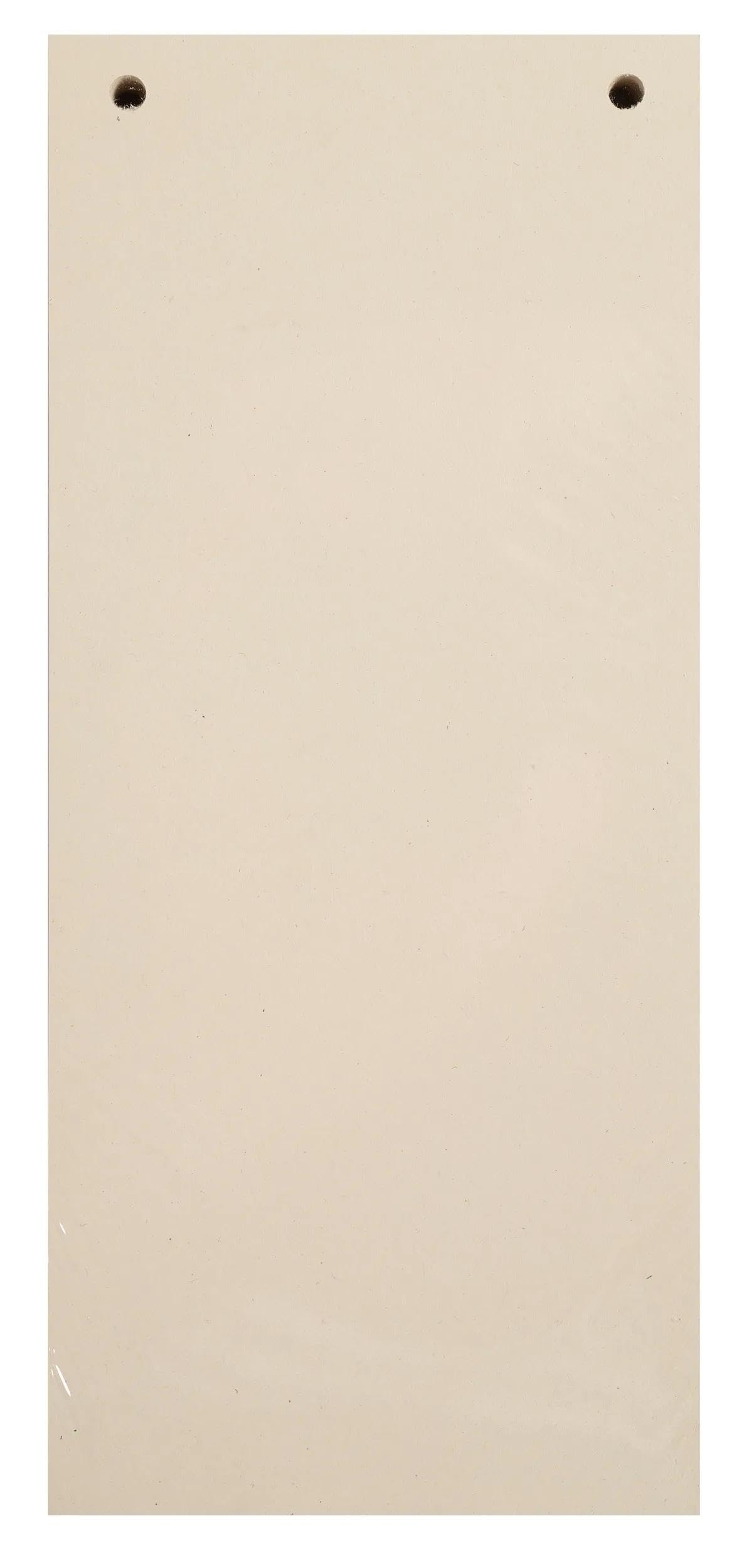 Paquet 100 fiches intercalaires horizontales unies perforees forever - 105 x 240 mm