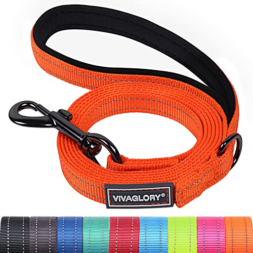 VIVAGLORY Correa para Perros, Correa de Entrenamiento con Mango Acolchado de Neopreno, Correa Resistente para Perros Pequeños y Medianos