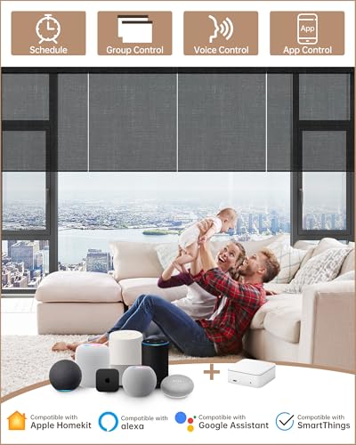 Smart home Alexa hub