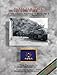 Into The Fire: the 275th Infantry Regiment in WWII by Tim Desiderio (2005-01-18)