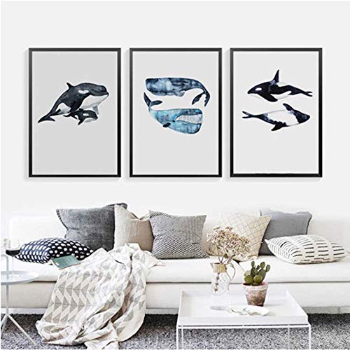 Affiche aquarelle requin dauphin 50x70cm sans cadre pour décoration murale moderne
