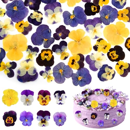56Pcs 8 Types Naturally Dried Pressed Edible Flowers Mixed Tricolour Viola for Cake Toppers Decorating Cocktails DIY Crafts