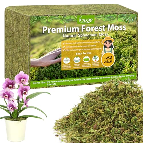 Legigo 1200g Sphagnum Moos für Pflanzen Premium Torfmoos Getrocknet für Orchideen Moosstäbe Terrarien & Zimmerpflanzen Hochwertiges Pflanzensubstrat zur Feuchtigkeitsspeicherung & Wurzelbildung