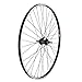 Wheel Master 700C/29 Alloy Hybrid/Comfort Double Wall
