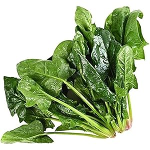 200 Stuks Spinazie Zaden Groene Groentezaden Voor Aanplant Non-GMO Heirloom Makkelijk Te Planten Voor Een Lange Tijd…