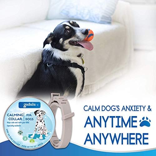 EPO-CANINE Anemia Support / Blood Builder For Dogs (30 Day Supply)