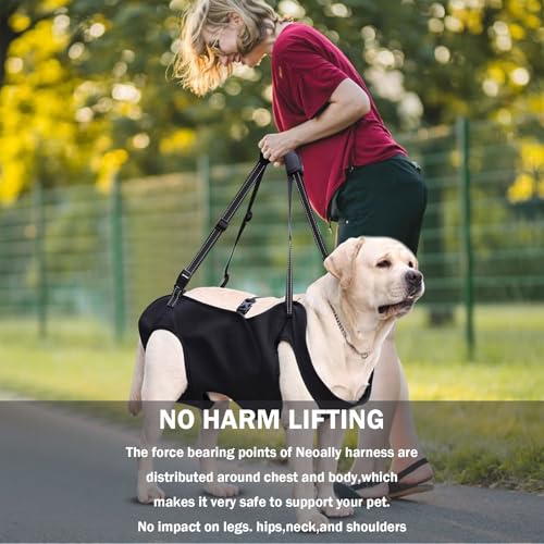 Hunde Tragehilfe, Tragehilfe Hund Treppe, Mobilitätshilfen für Hund Hebegeschirr für Hinterbeine Hüftstütze mit Griffen Sicherheitsunterstützung für Behinderte, Verletzte Oder Ältere Hunde (M)