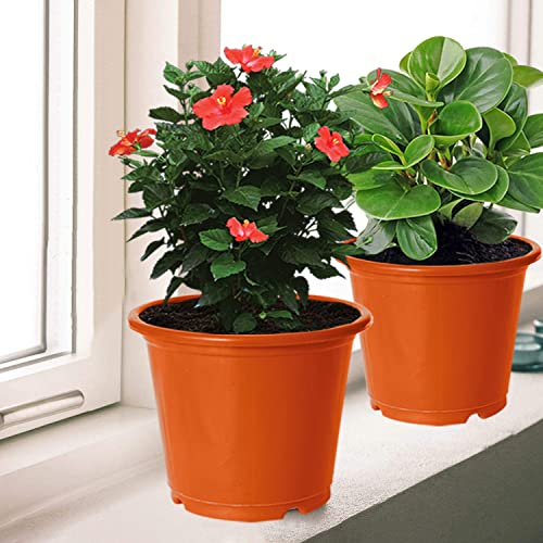 Image of Kuber Industries Durable Plastic Flower Pot|Gamla with Drain Holes for Indoor Home Decor & Outdoor Balcony,Garden,6 inchx5 inch,Pack of 3 (Orange)