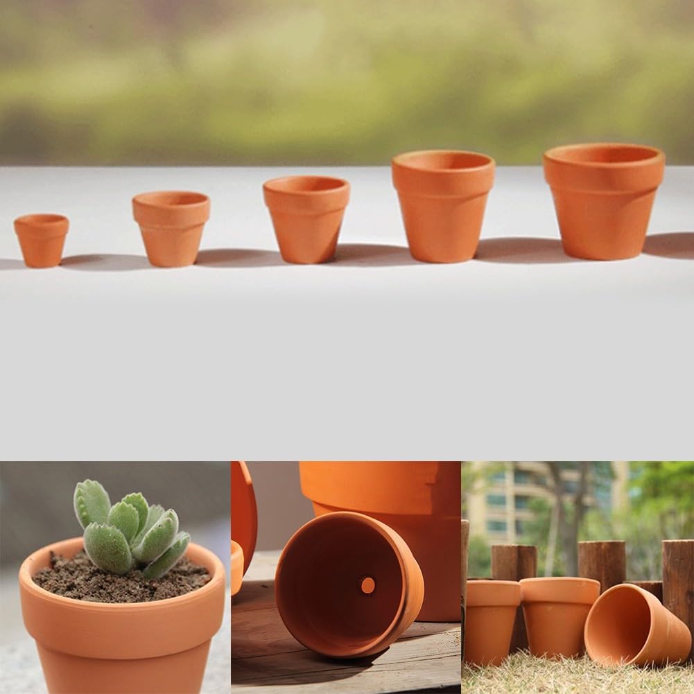 24 Kleine Terrakotta-Töpfe Mit Ablaufloch - Für Sukkulenten & DIY, 4,5x4 Cm