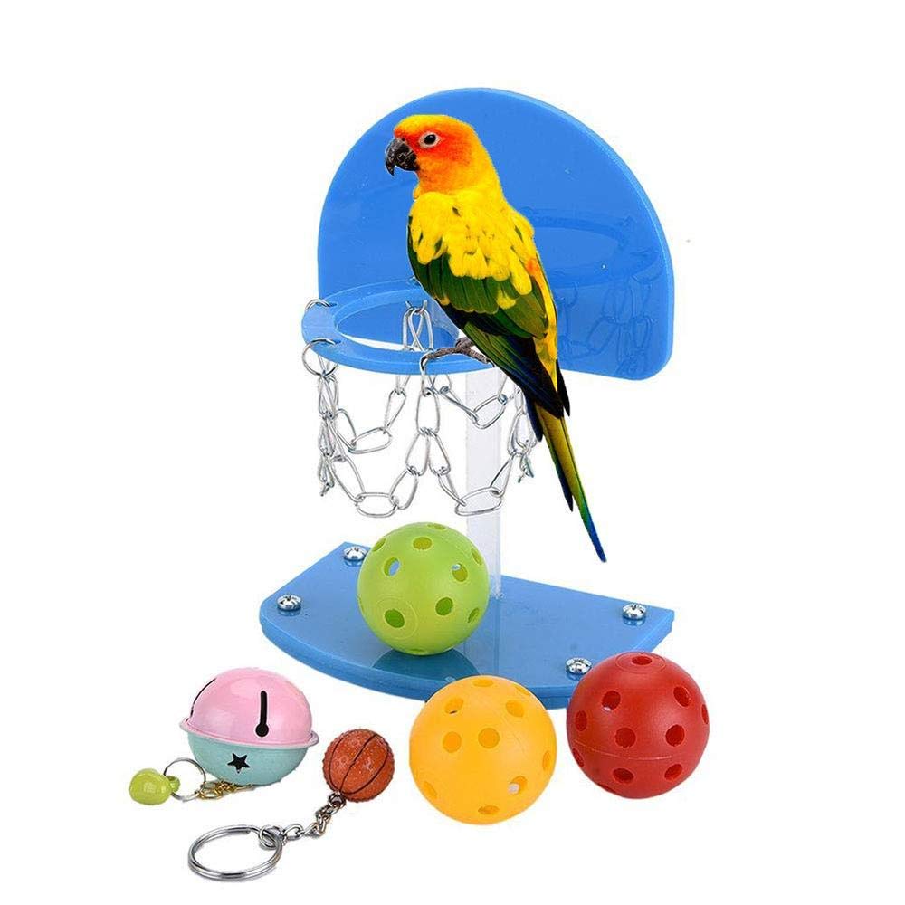 Interaktives Intelligenz-Spielzeug Set Für Vögel | 10-teilig | Für Papageien, Sittiche & Wellensittiche | Fördert Spieltrieb & Beschäftigung