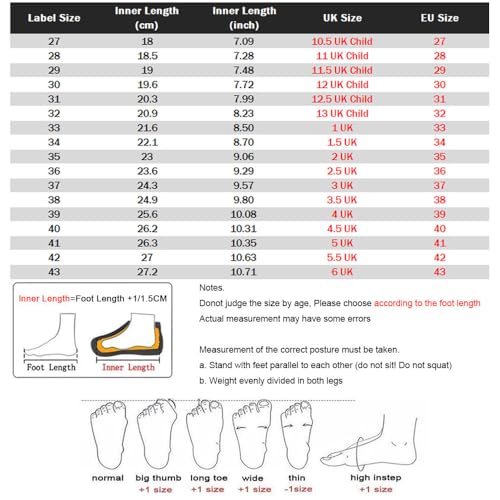 Roller Skate Shoes, Automatic Retrectable Technical Skateboarding Skates for Kids Sneakers for Girls Boys Birthday Gift - 2 Roller 27-43 Size4