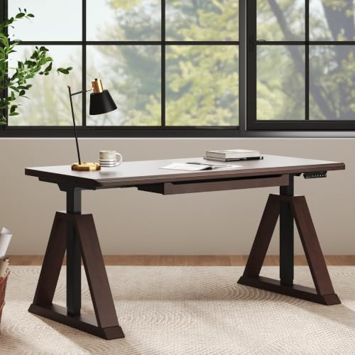 FLEXISPOT 63" WoodiX Solid Wood Executive Standing Desk with Drawer, Walnut - image 1