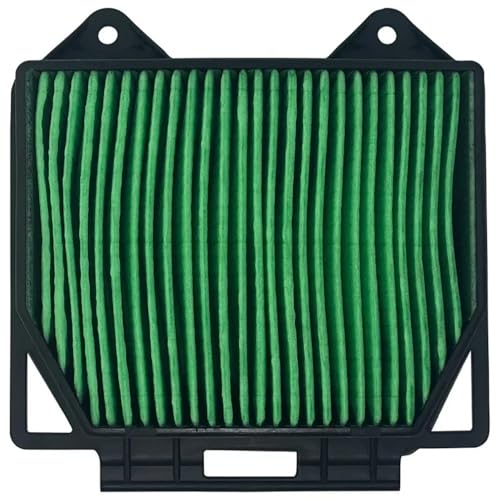 Filtro de aire para motocicleta compatible con gama CBF300 y CBF250 2