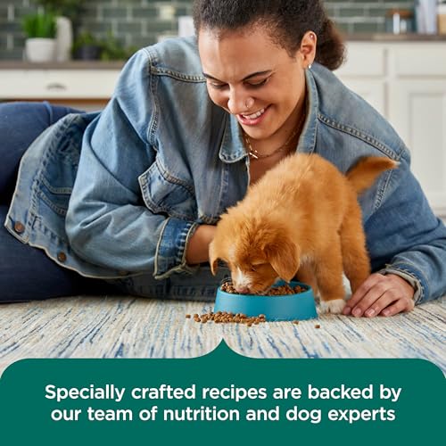Nutrish Puppy Dry Dog Food, Chicken & Brown Rice, 13 lb. Bag (Rachael Ray) - image 6
