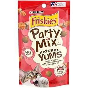 Purina Friskies Natural Cat Treats, Party Mix Natural Yums With Real Salmon and Vitamins, Minerals & Nutrients – (Pack of 10) 2.1 Oz. Pouches