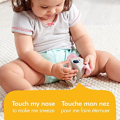 Image of Tiny Love Wonder Buddies, Coco