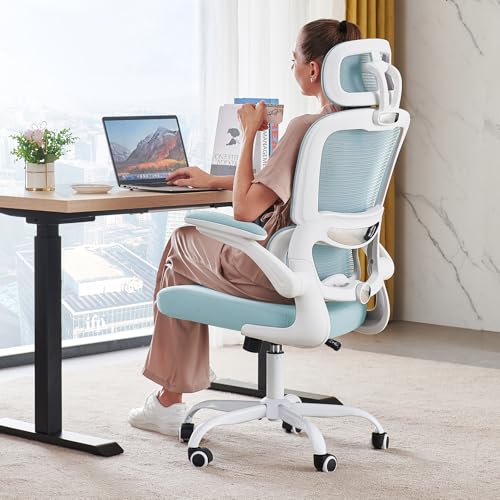 Photo 1 of TRALT Office Chair Ergonomic Desk Chair