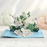 Paper Spiritz Daisy Pop Up Card, 3D Paper Flower Bouquet Greeting Cards Birthday Cards for Women, Ge