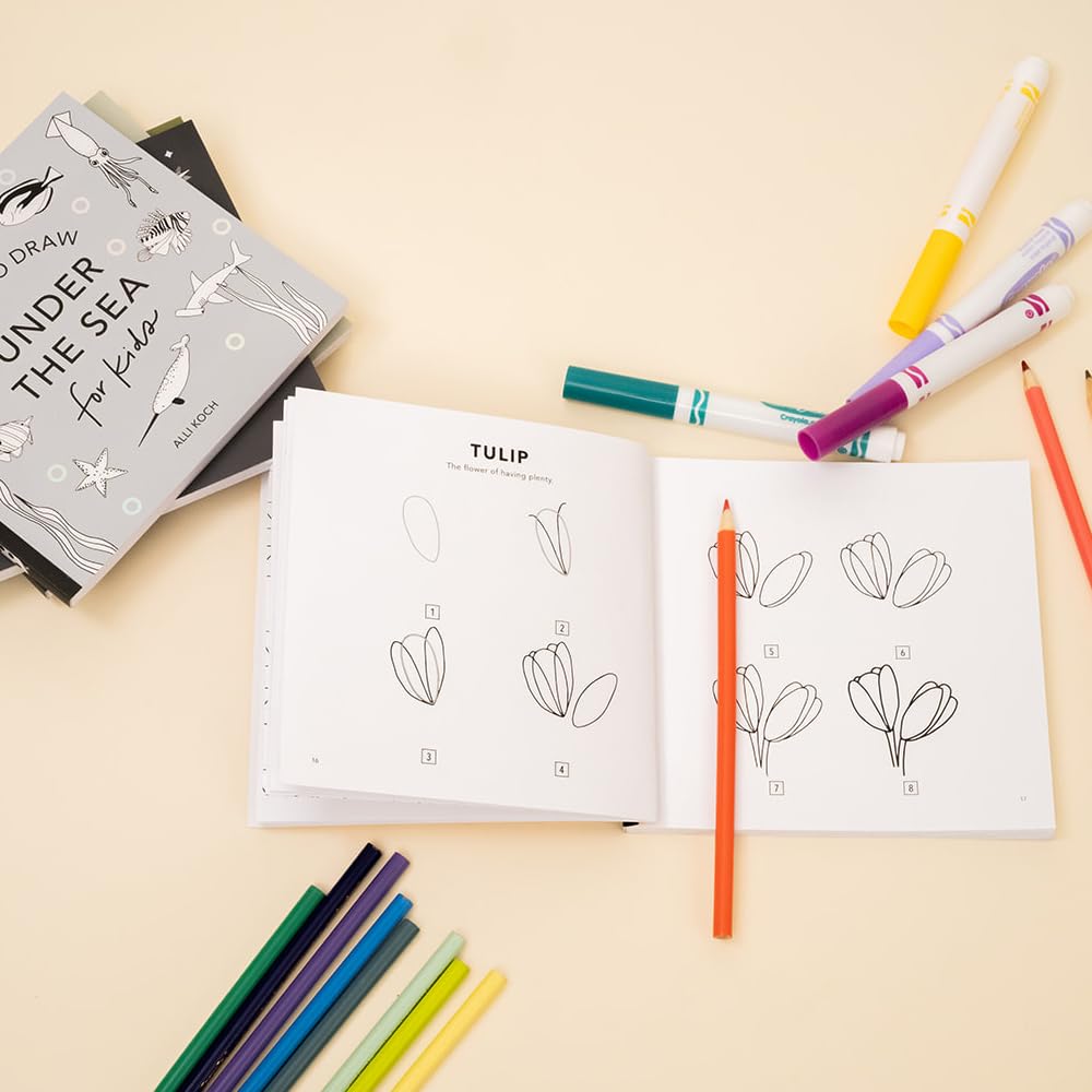 So Many Things: A Box Set of 5 How-to-Draw Books for Kids: 9 (Travel Activities Series)