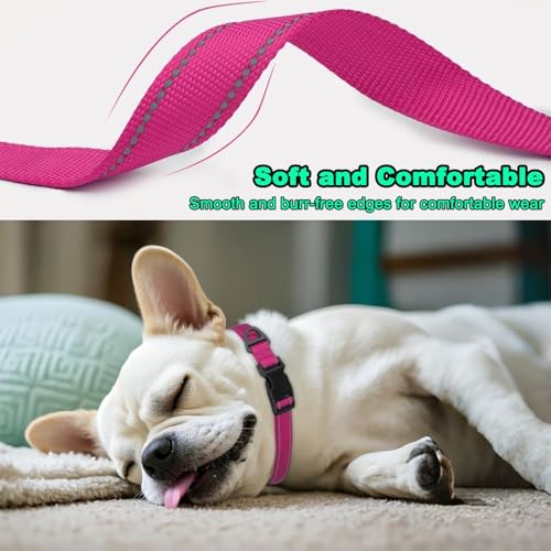 Collar Reflectante para Perros Pequeños Azul Celeste miniatura 5