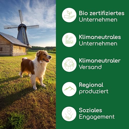 Bio Hanföl für Hunde und Katzen 1 Liter I 100% Natürlich und Kaltgepresst - Unterstützung für Fell & Haut durch Omega 3-6-9, DE-ÖKO-060