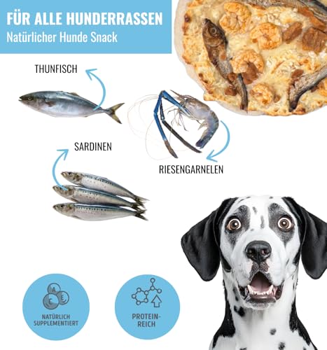 RiNa`s Hundepizza Frutti di Mare mit Thunfisch, Sardine & Riesengarnelen - glutenfrei, proteinreich & ofengebacken - Gesunder Hundesnack für besondere Momente (200 g)