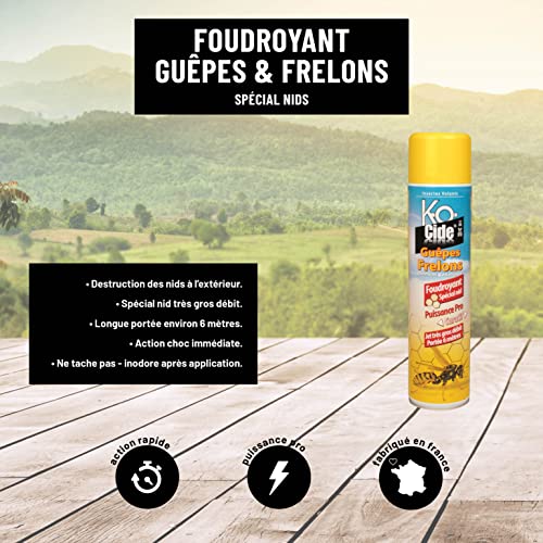 K-Ocide Foudroyant Guêpes et Frelons 600ml