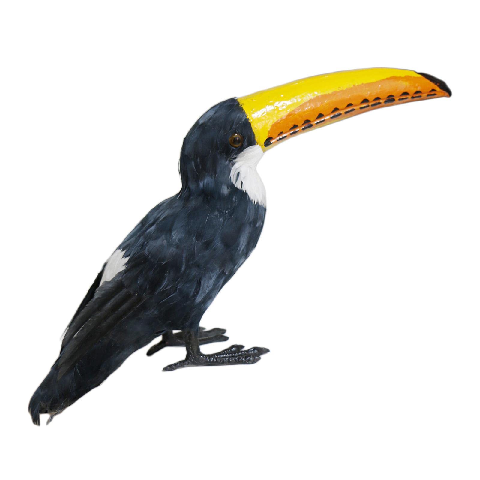 Unique Real Toucan Bird Handcrafted Craft Figurines Beautiful Statue for Decoration