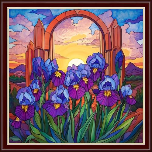 Image of Dimensean Stamped Cross Stitch Kits Full Range of Embroidery Patterns Starter Kits for Beginners Adult DIY Cross Stitches Needlepoint Kits 11CT-Sunrise Oriole Tail Flower 18x18 inch