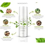 Real Purity, (2 Pack) Roll-On Deodorant