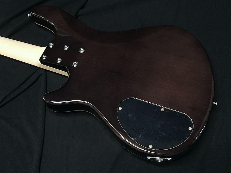 Amazon | SCHECTER JOL-CT-B-4 STBK | エレキベース | 楽器・音響機器