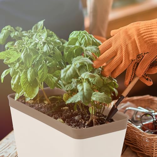 SiliFine 6 Set Window Herb Planter Box Self Watering Plant Pots 10.6 Inch Rectangular Herb Pots Decorative Garden Flower Box for Indoor, Succulent,Vegetables, Flowers by SiliFine - Used condition - Image 5