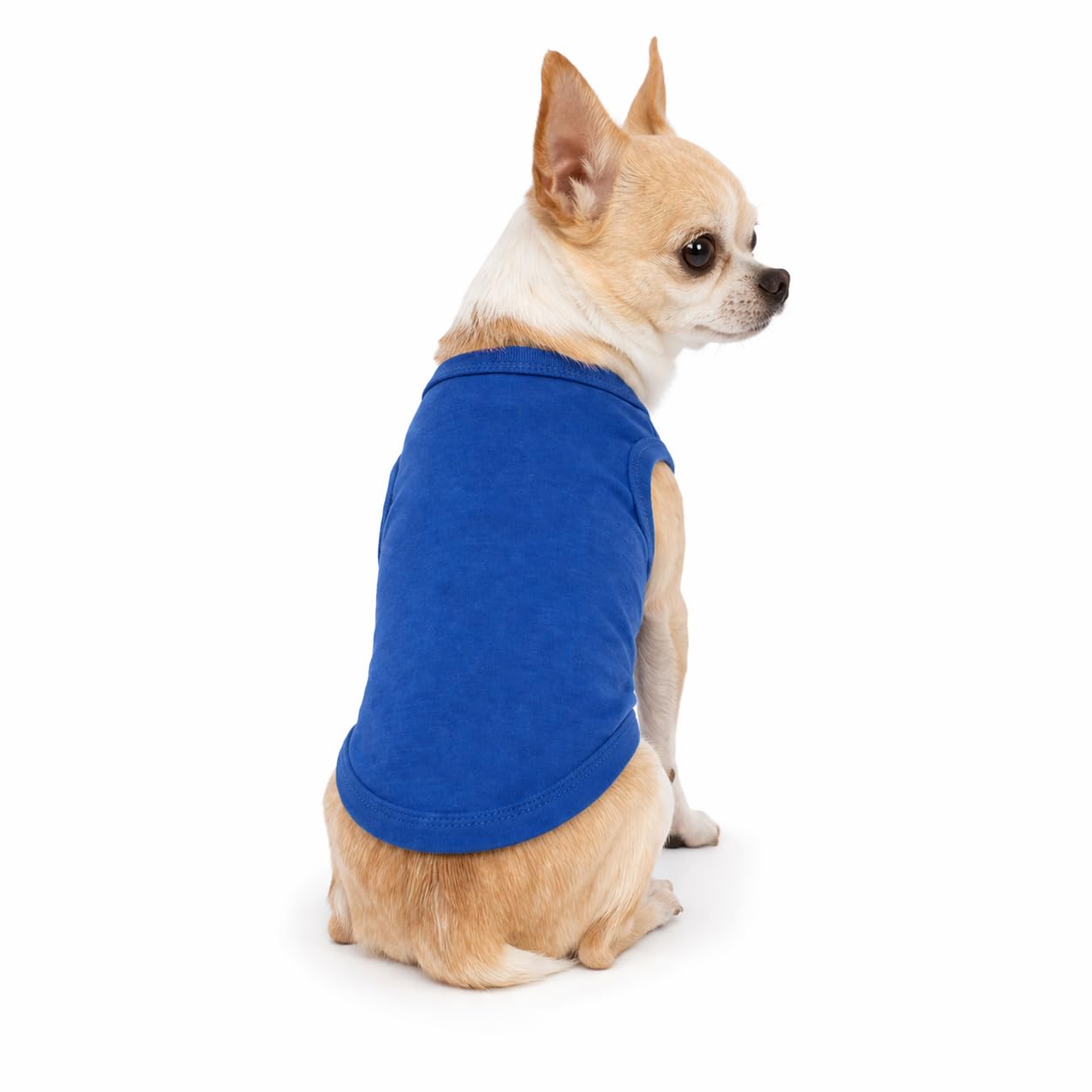 Petitebelle Plain Single Color Puppy Dog Shirt (Royal Blue, XX-Large)