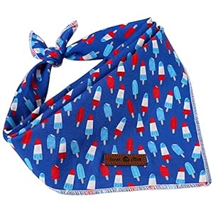 lionet paws Patriotic 4th of July Dog Bandana Summer Popsicle for Small Medium Large Dogs, Cat Dog Kerchief Dog Triangle Bibs Scarf for Male Female Gift lionet paws Patriotic 4th of July Dog Bandana Summer Popsicle for Small Medium Large Dogs, Cat Dog Kerchief Dog Triangle Bibs Scarf for Male Female Gift