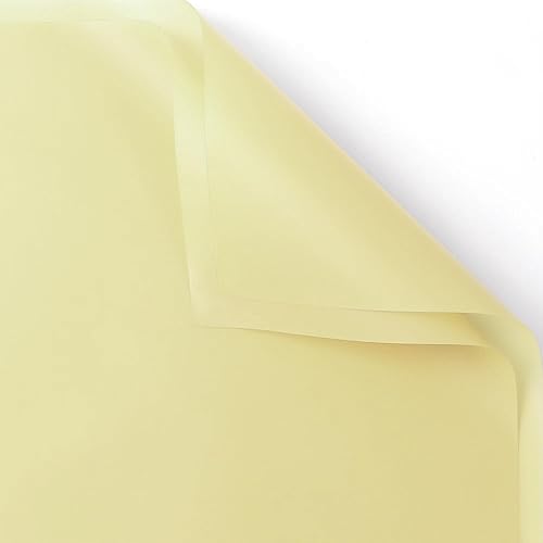 ARIFLOR 20 hojas de papel básico impermeable para ramo de flores, papel de regalo de Navidad 30185, embalaje de regalo de Navidad, embalaje de