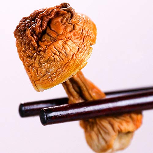 Matsutake essiccato, Agaricus Blazei, fungo Yunnan, 200 g